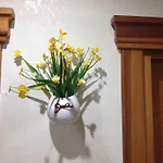 Rainbow Bed & Breakfast Rom
